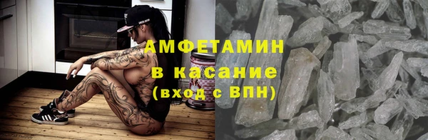 индика Алексин