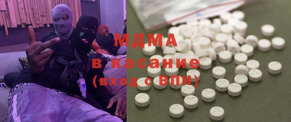 индика Алексин