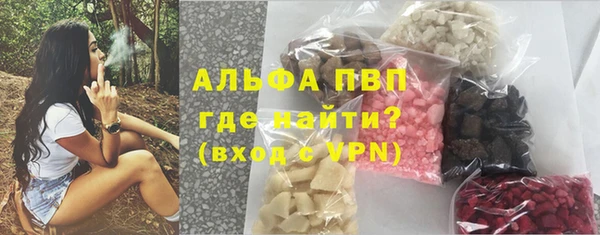 индика Алексин