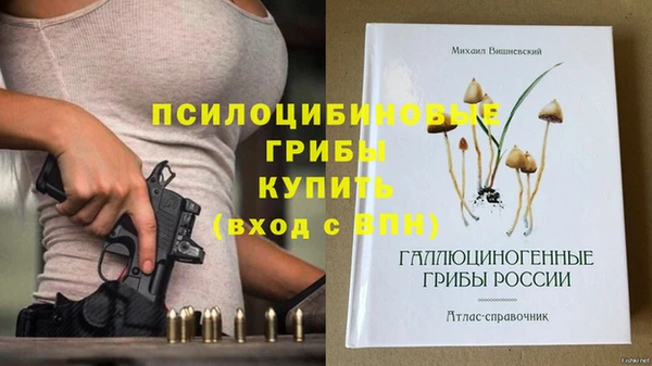 индика Алексин