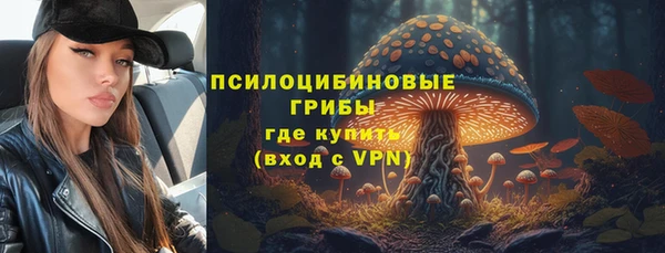 индика Алексин